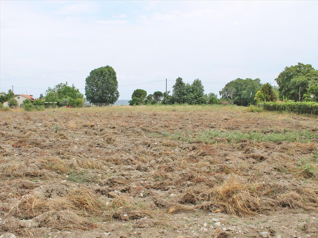 Земля в Олимпиаки-Акти, Греция, 4 000 м² - фото 3