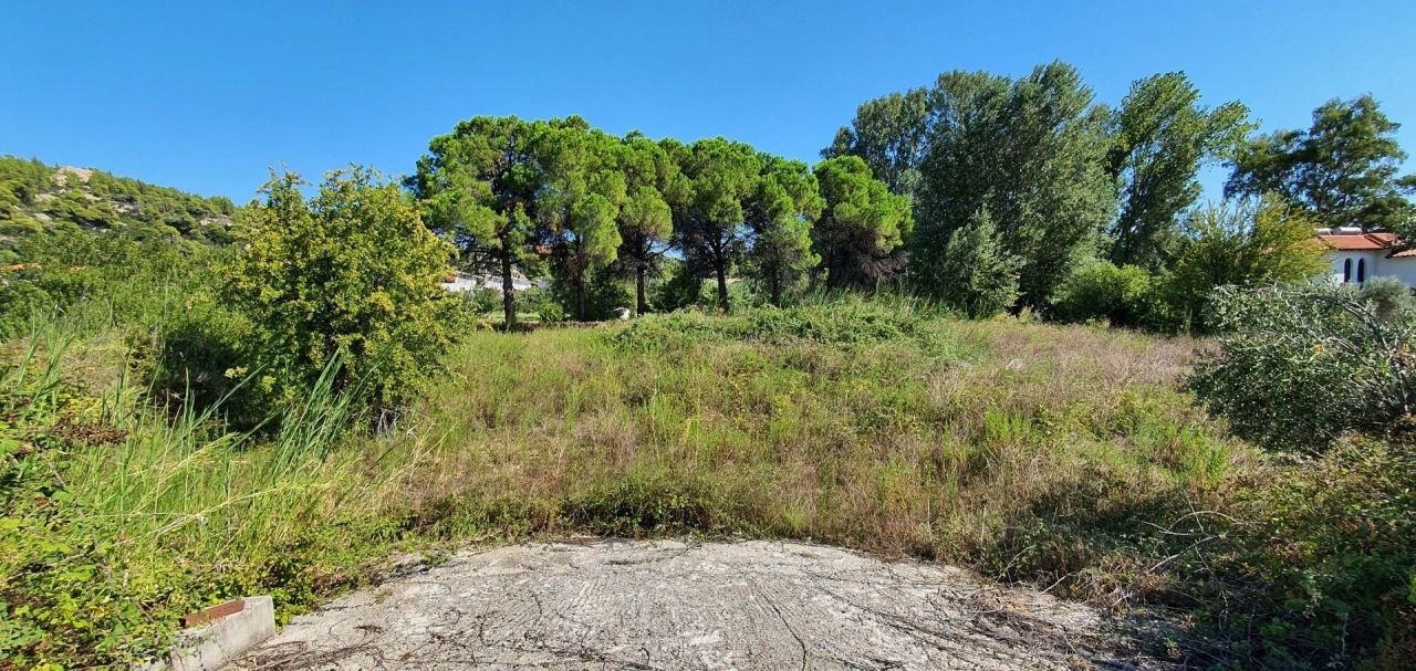 Земля в Ситонии, Греция, 2 000 м² - фото 3