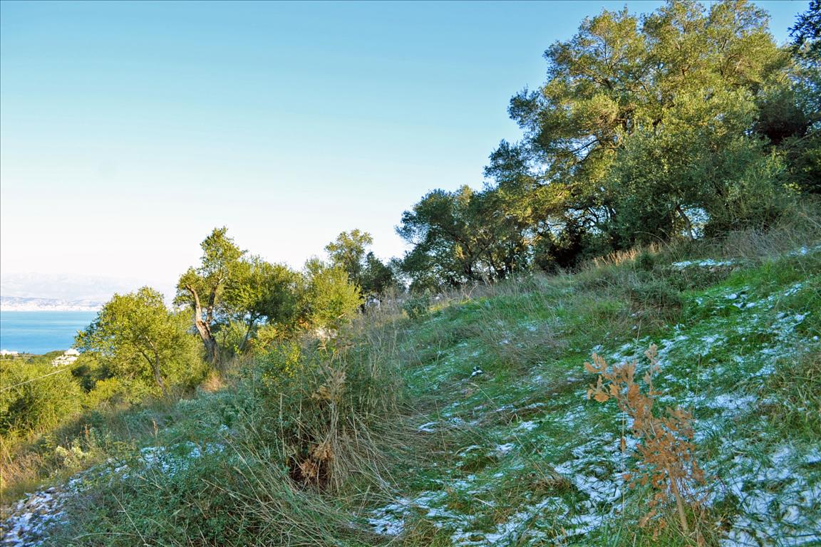 Земля на Корфу, Греция, 7 000 м² - фото 3