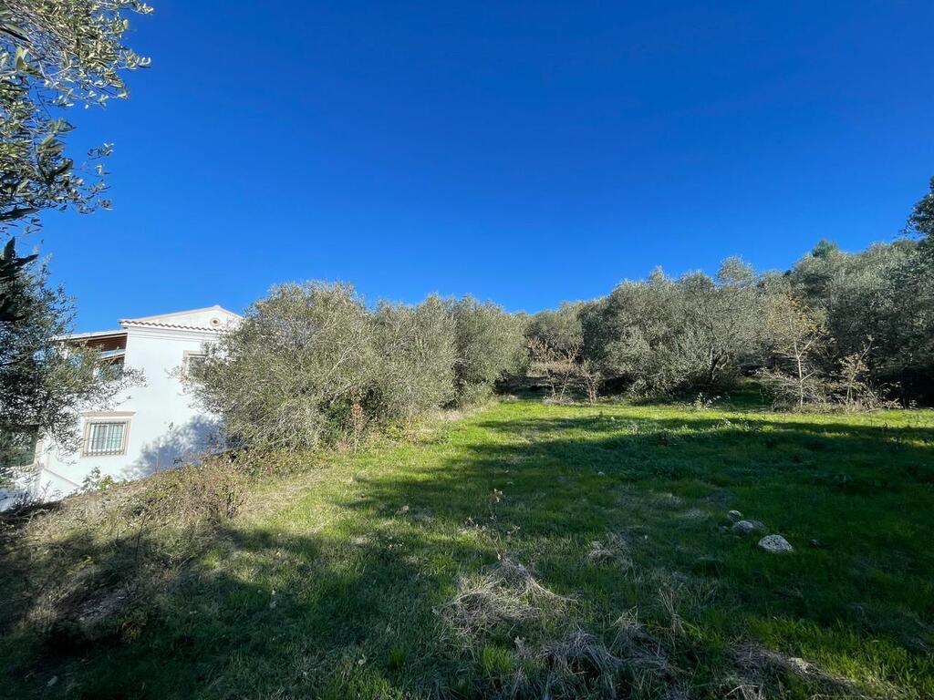 Земля на Корфу, Греция, 14 529 м² - фото 3