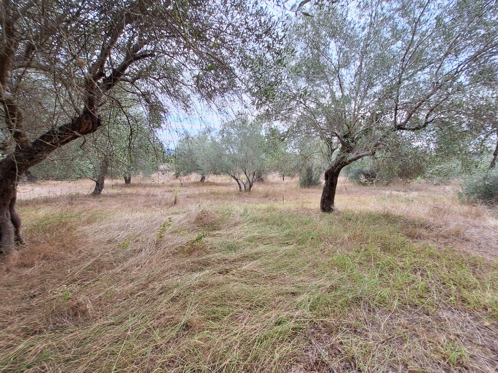 Земля на Корфу, Греция, 5 500 м² - фото 3