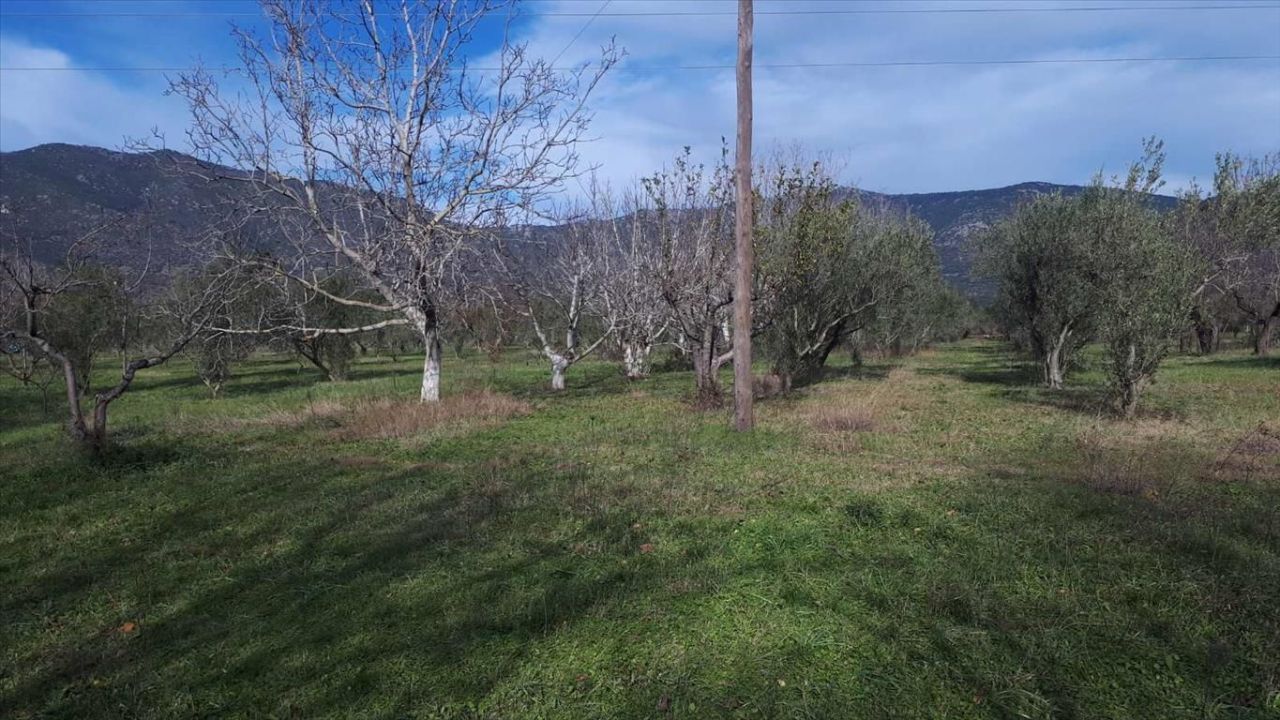 Земля в Салониках, Греция, 18 250 м² - фото 3