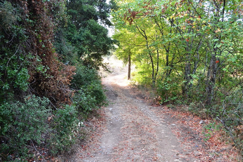 Земля на Корфу, Греция, 6 500 м² - фото 3