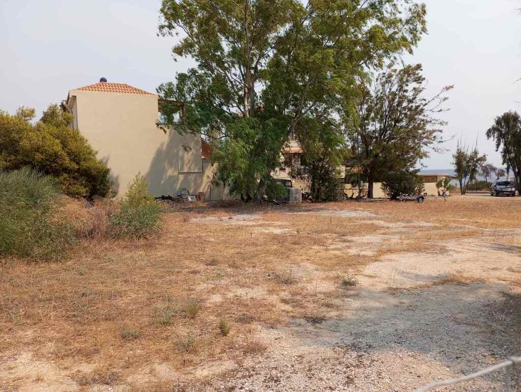 Земля в Аттике, Греция, 805 м² - фото 3