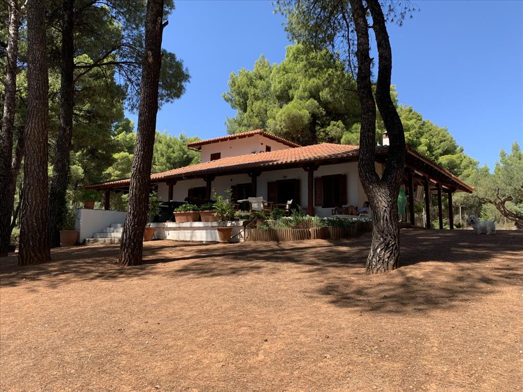 Дом в Ситонии, Греция, 175 м² - фото 3