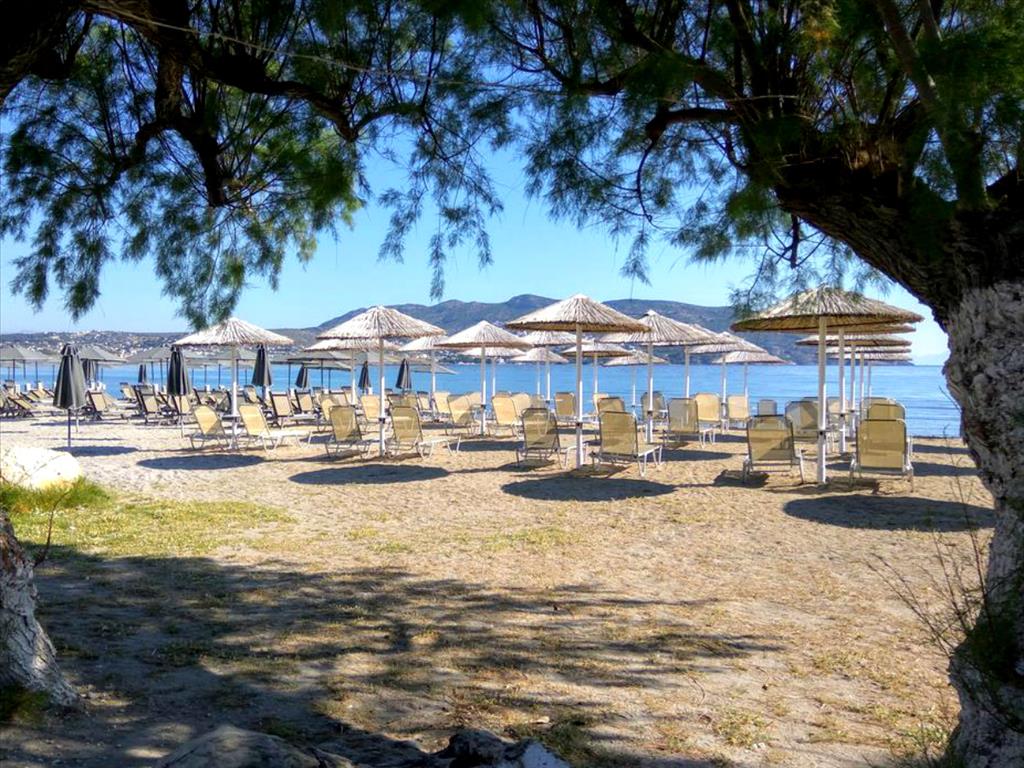 Земля в Аттике, Греция, 1 230 м² - фото 3