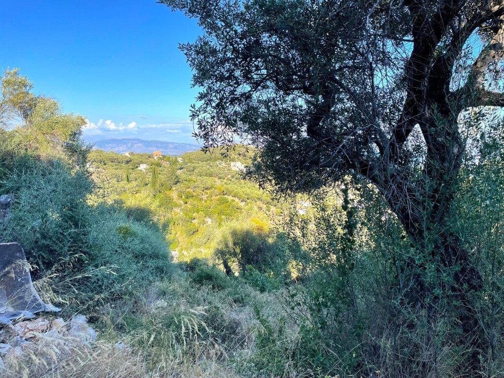 Земля на Корфу, Греция, 4 982 м² - фото 3