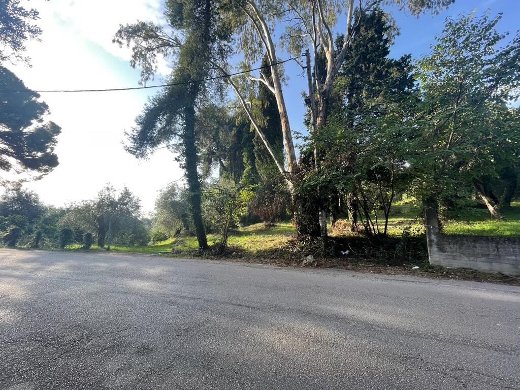 Земля на Корфу, Греция, 3 321 м² - фото 3