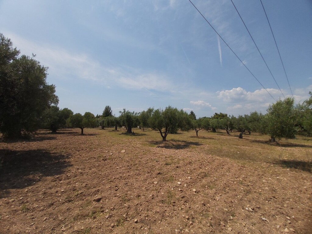 Земля в Ситонии, Греция, 8 000 м² - фото 3