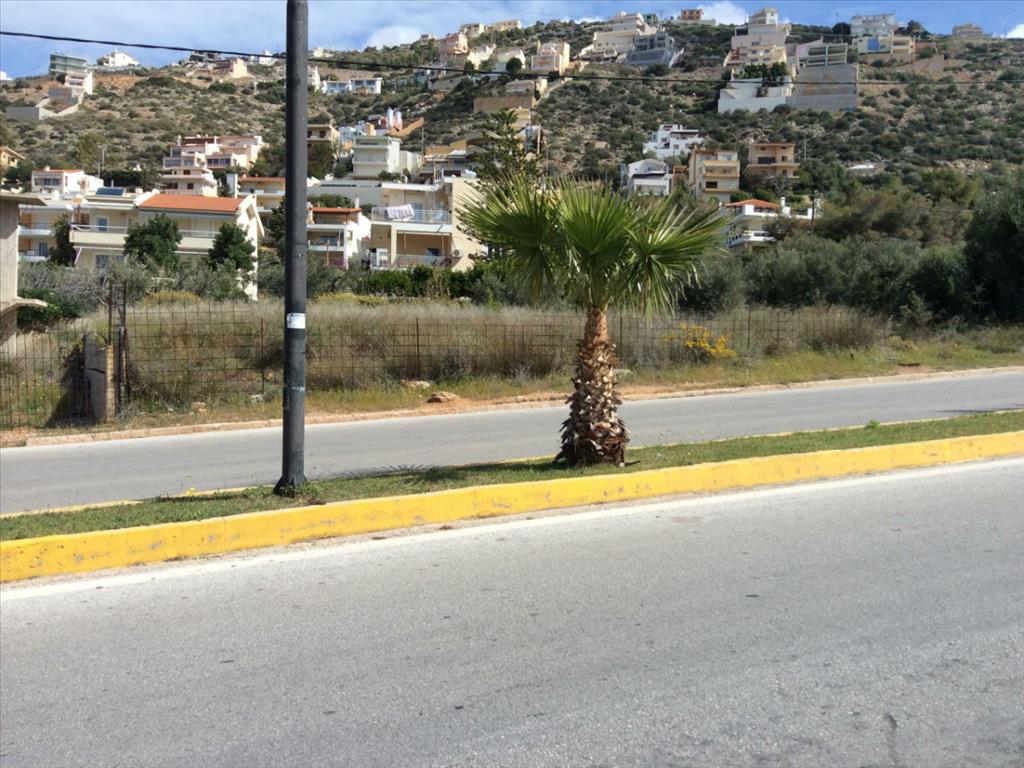 Земля в Аттике, Греция, 1 300 м² - фото 3