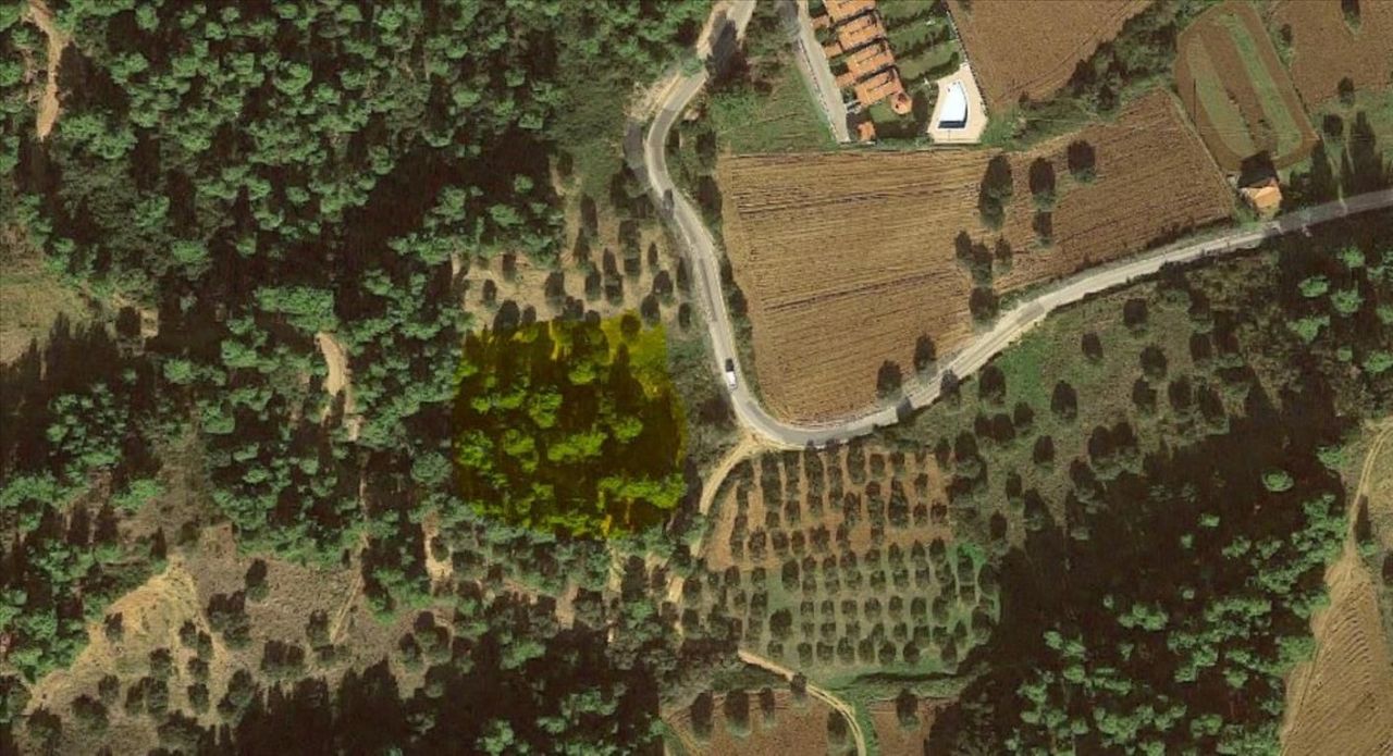 Земля на Кассандре, Греция, 4 157 м² - фото 3