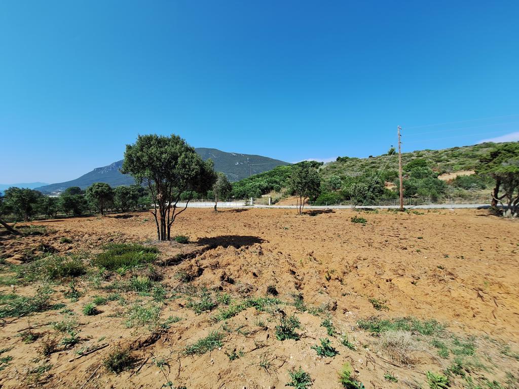 Земля на Корфу, Греция, 5 121 м² - фото 3