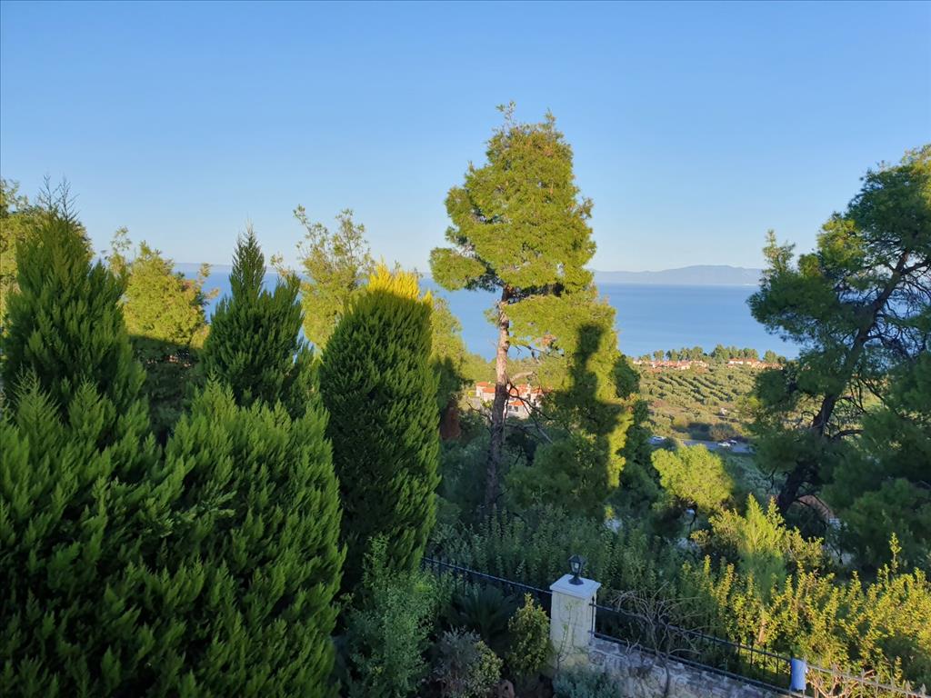 Дом на Кассандре, Греция, 120 м² - фото 3