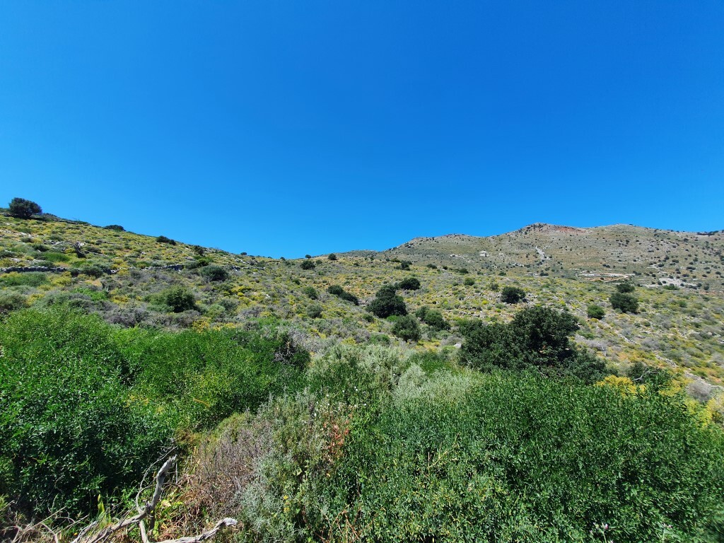 Земля в Ираклионе, Греция, 28 045 м² - фото 3