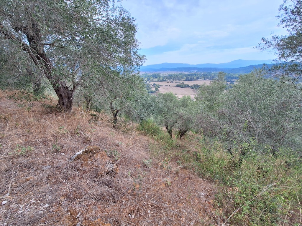 Земля на Корфу, Греция, 13 000 м² - фото 3