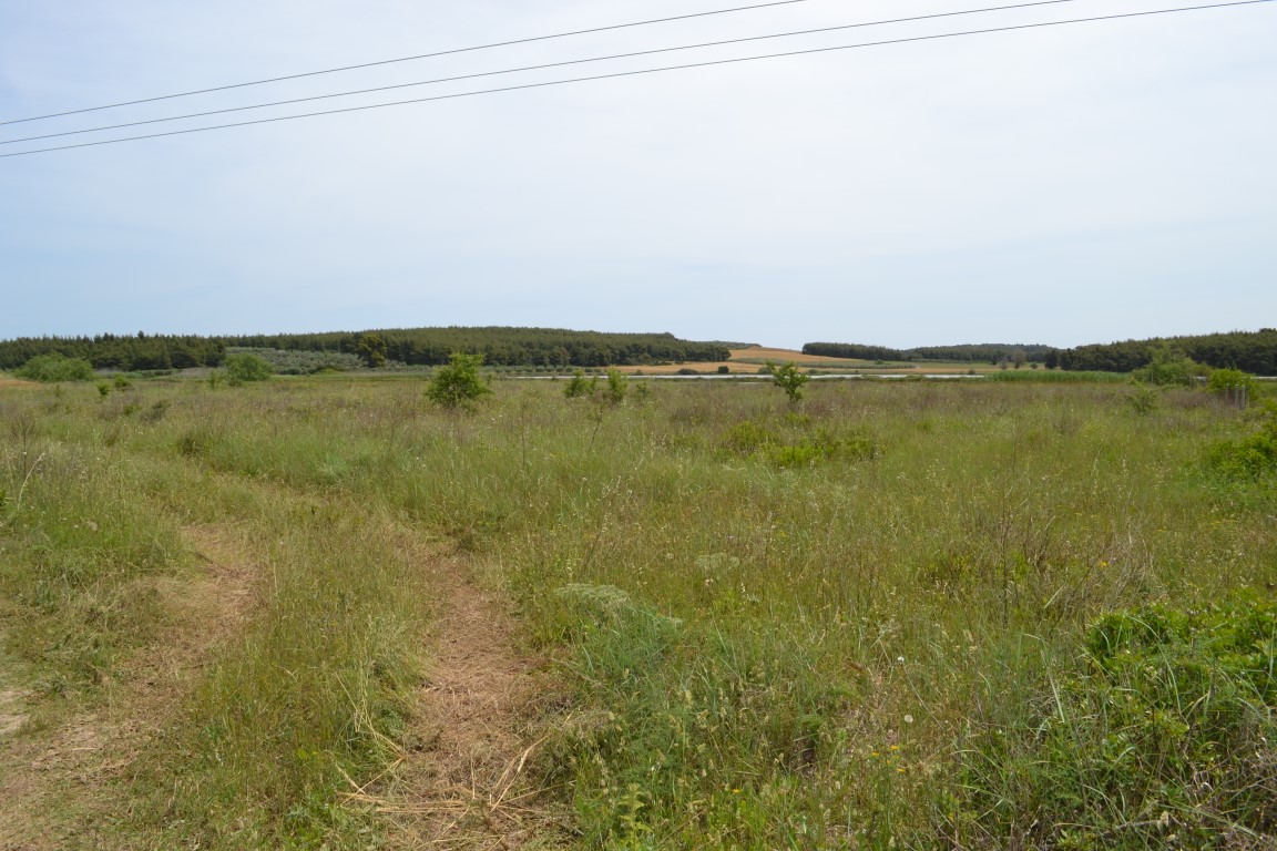 Земля на Кассандре, Греция, 3 200 м² - фото 3