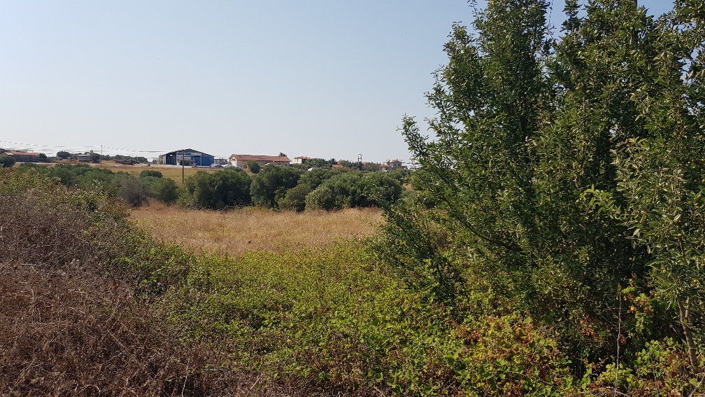 Земля на Кассандре, Греция, 3 255 м² - фото 3