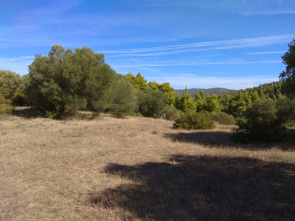 Земля в Ситонии, Греция, 7 250 м² - фото 3