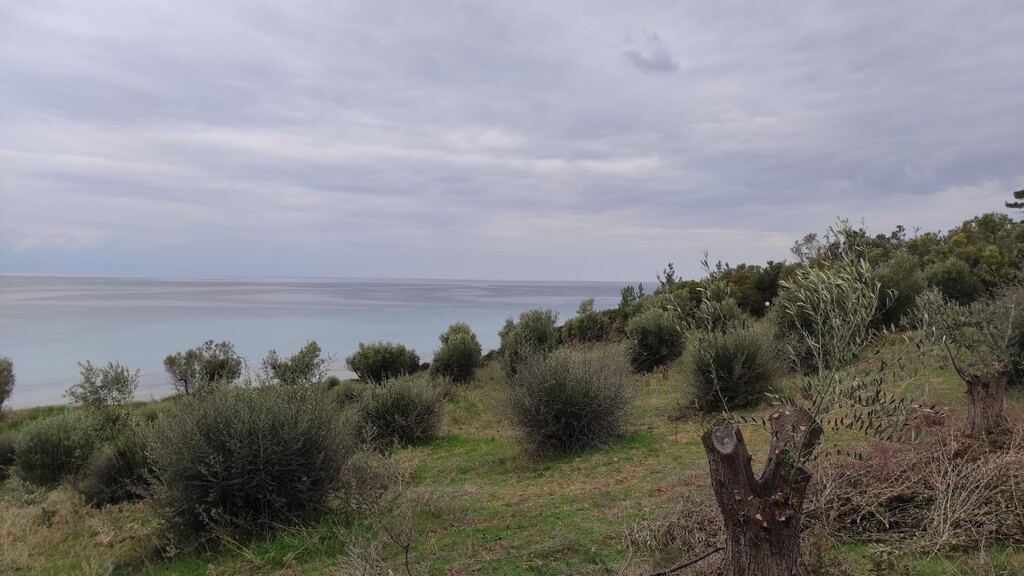 Земля на Халкидиках, Греция, 1 625 м² - фото 3