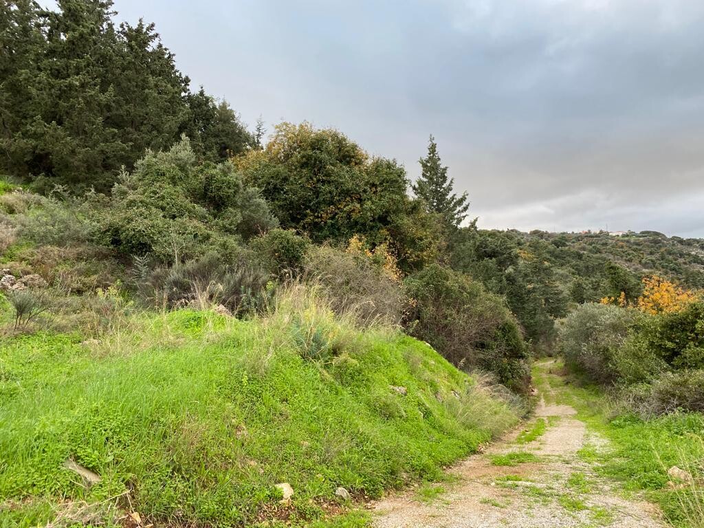 Земля в Ираклионе, Греция, 8 000 м² - фото 3