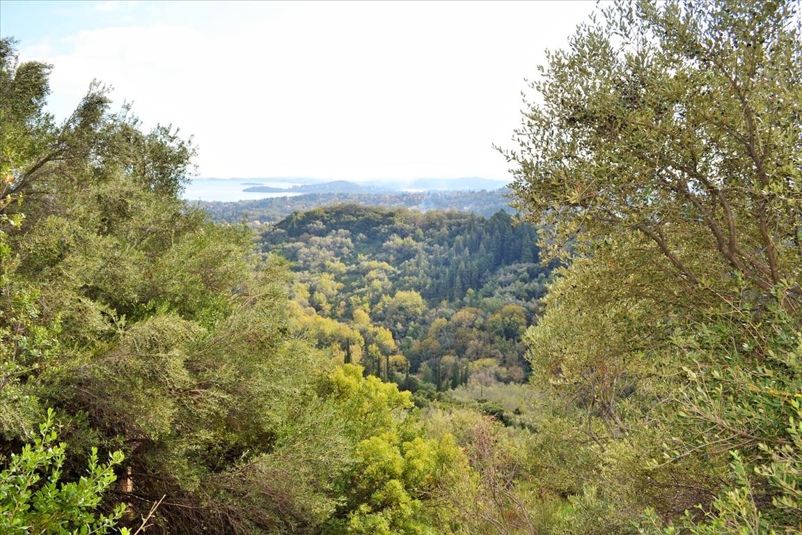 Земля на Корфу, Греция, 14 530 м² - фото 3