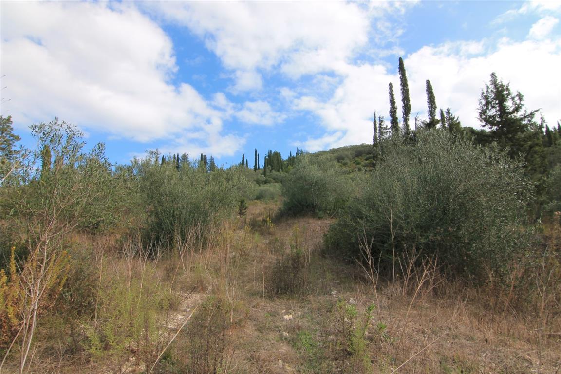 Земля на Корфу, Греция, 15 000 м² - фото 3