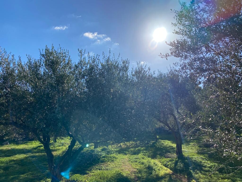 Земля в Ираклионе, Греция, 20 000 м² - фото 3