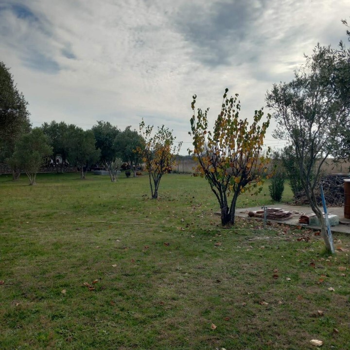 Земля на Халкидиках, Греция, 2 025 м² - фото 3