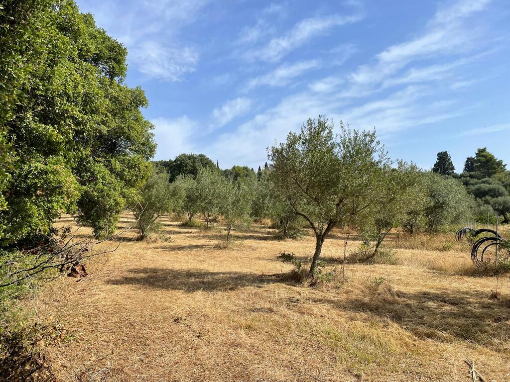 Земля на Корфу, Греция, 27 750 м² - фото 3