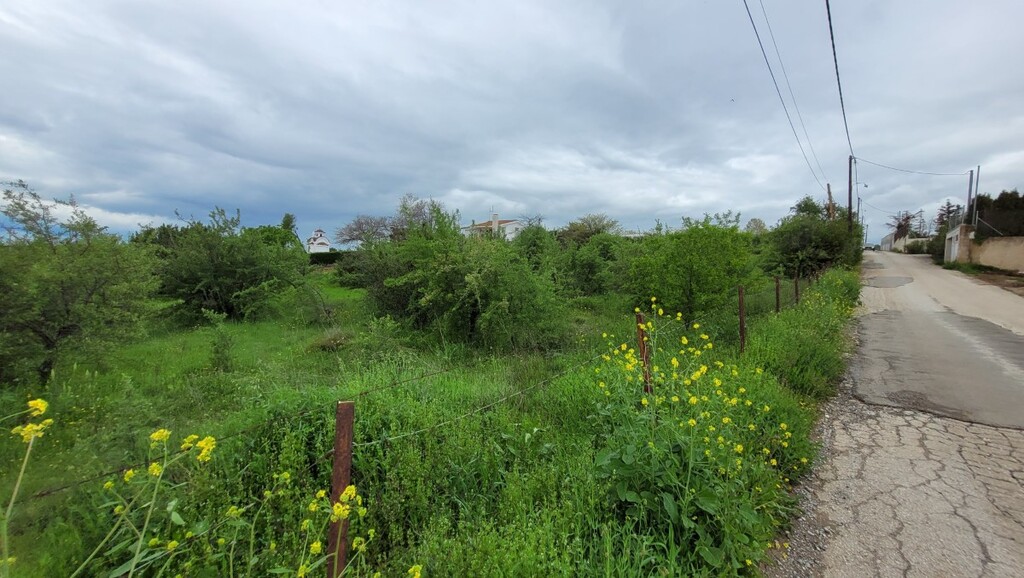 Земля в Салониках, Греция, 4 000 м² - фото 3