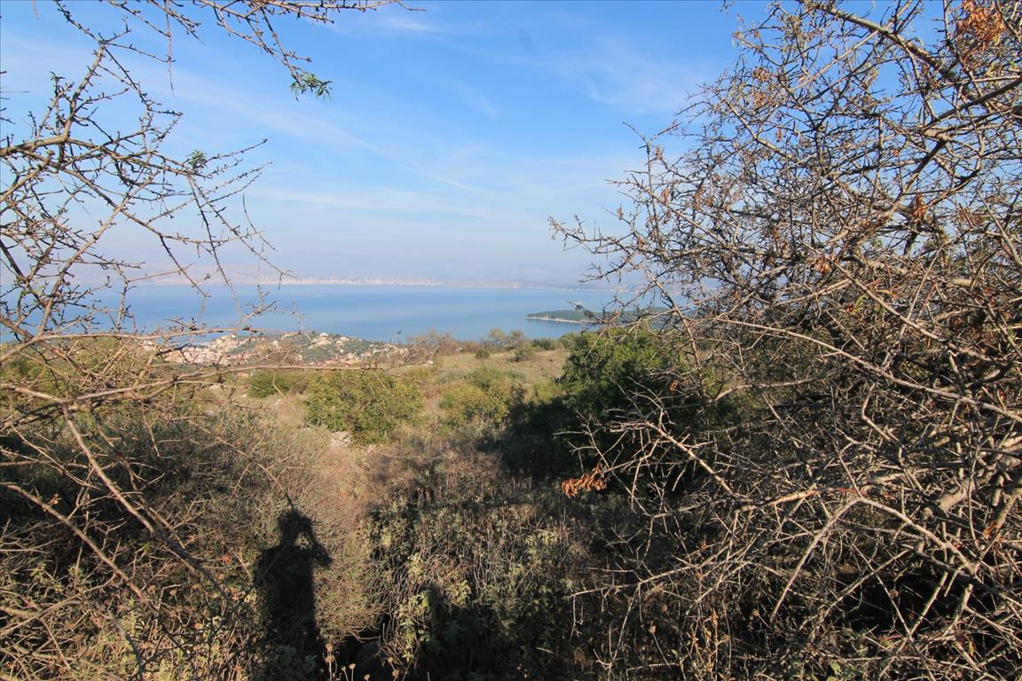 Земля на Корфу, Греция, 11 000 м² - фото 3