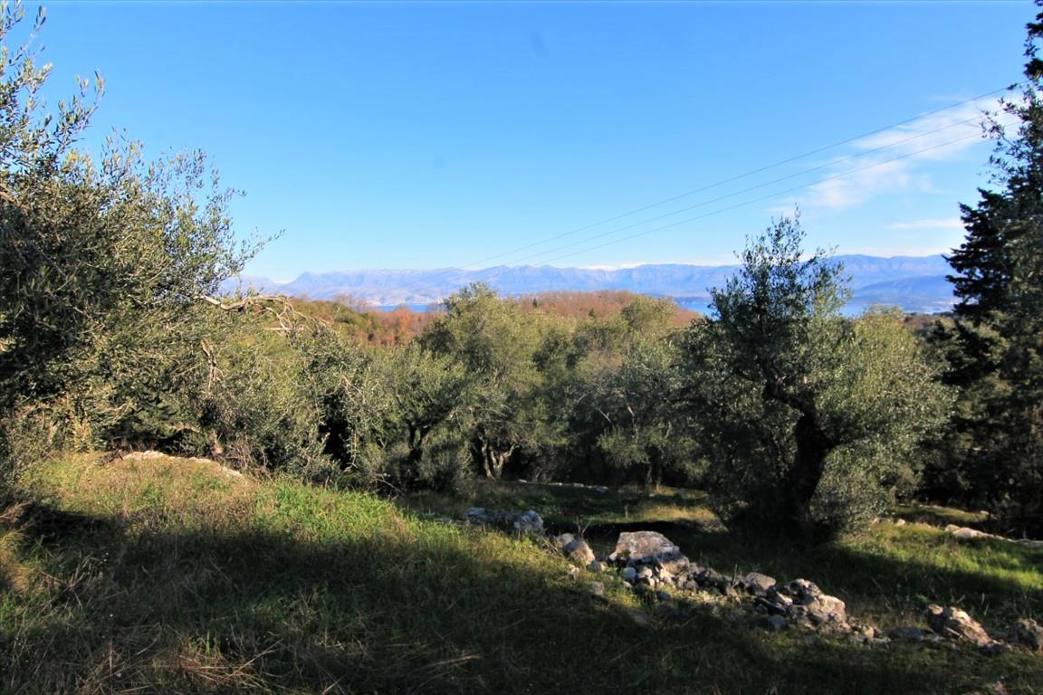 Земля на Корфу, Греция, 6 000 м² - фото 3