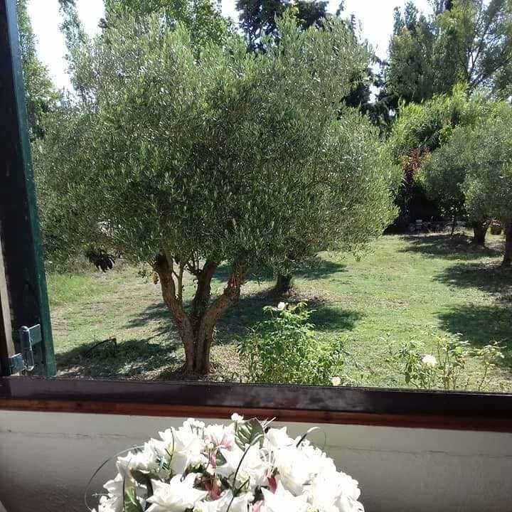 Дом в Ситонии, Греция, 97 м² - фото 3