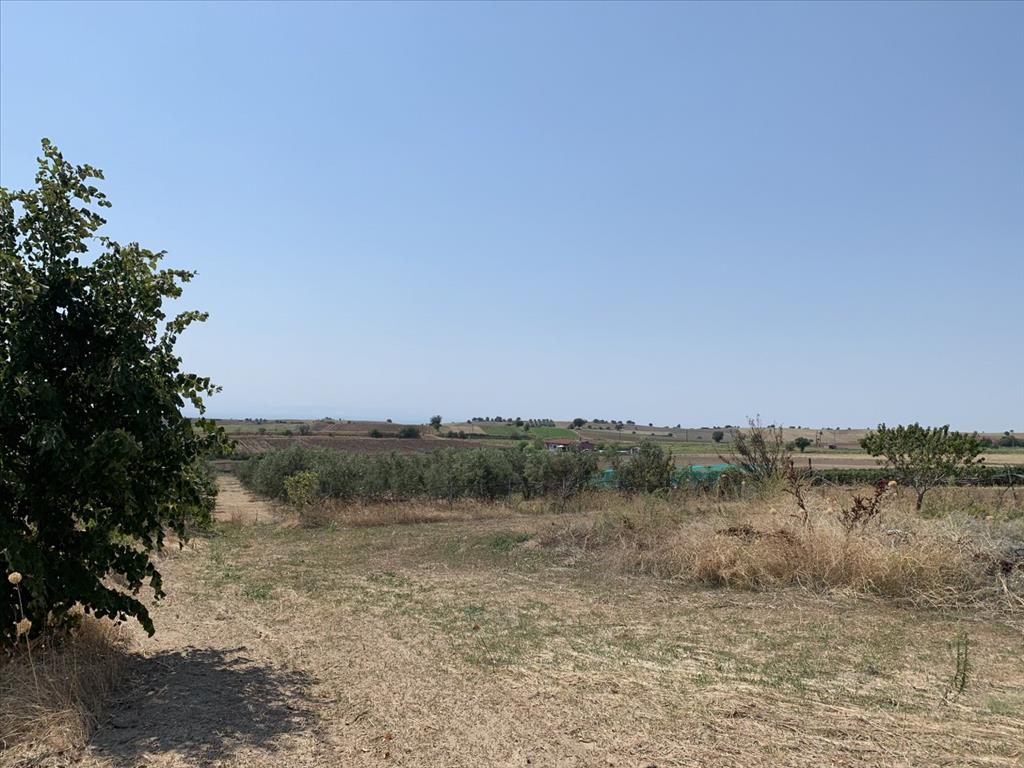 Земля в Салониках, Греция, 7 000 м² - фото 3