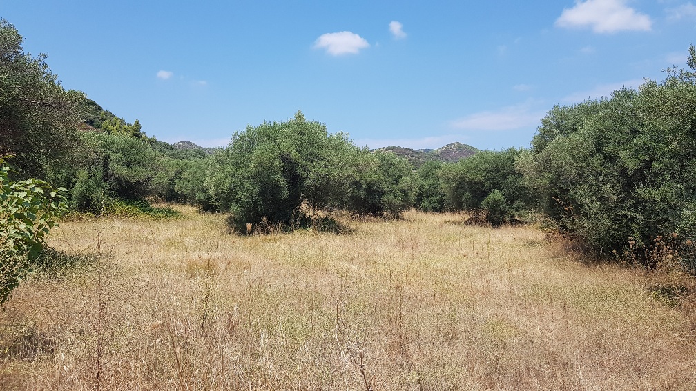 Земля на Кассандре, Греция, 20 000 м² - фото 3