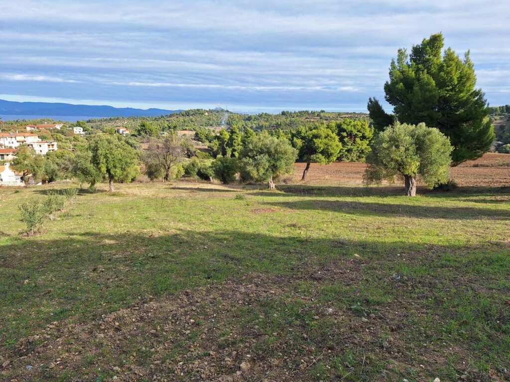 Земля на Кассандре, Греция, 2 822 м² - фото 3