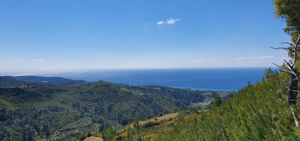 Земля на Кассандре, Греция, 12 000 м² - фото 3