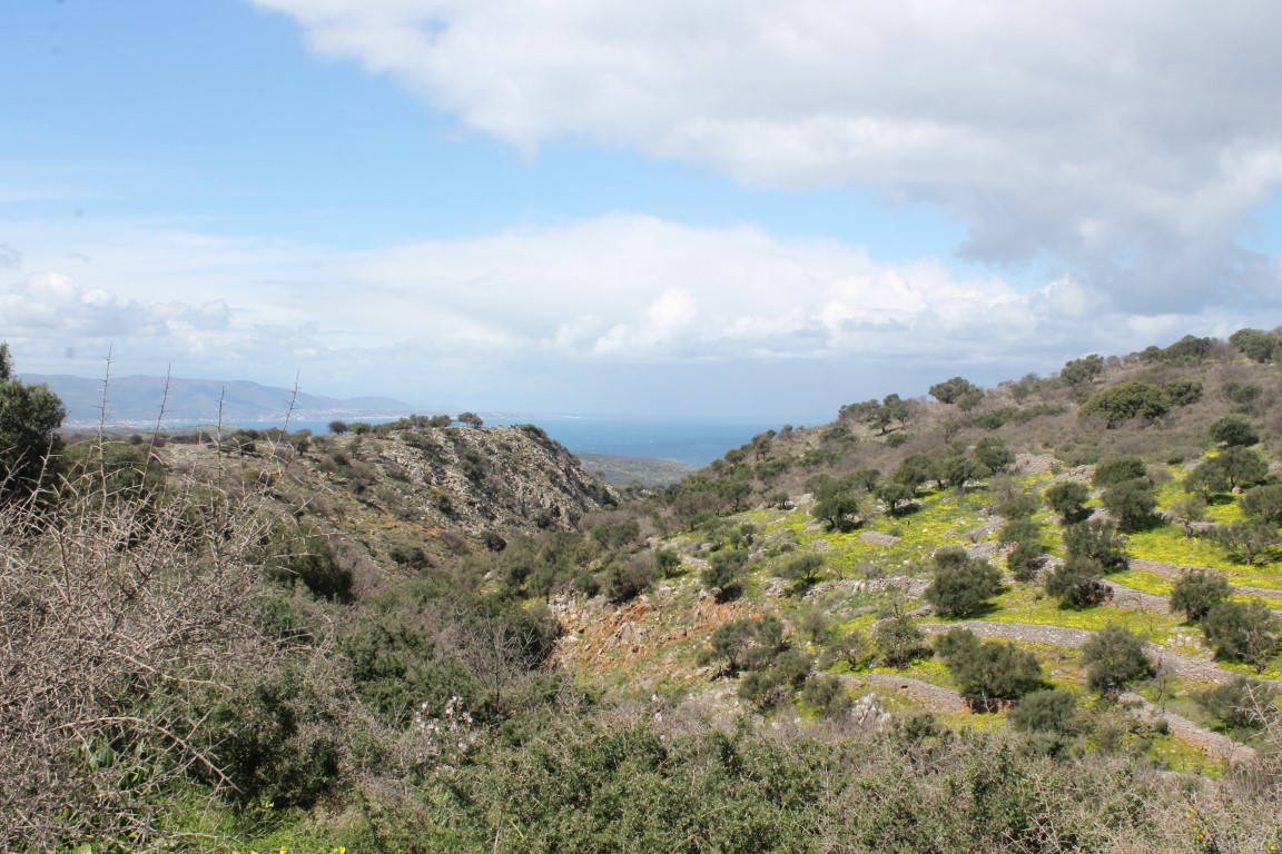 Земля в Ираклионе, Греция, 10 800 м² - фото 3