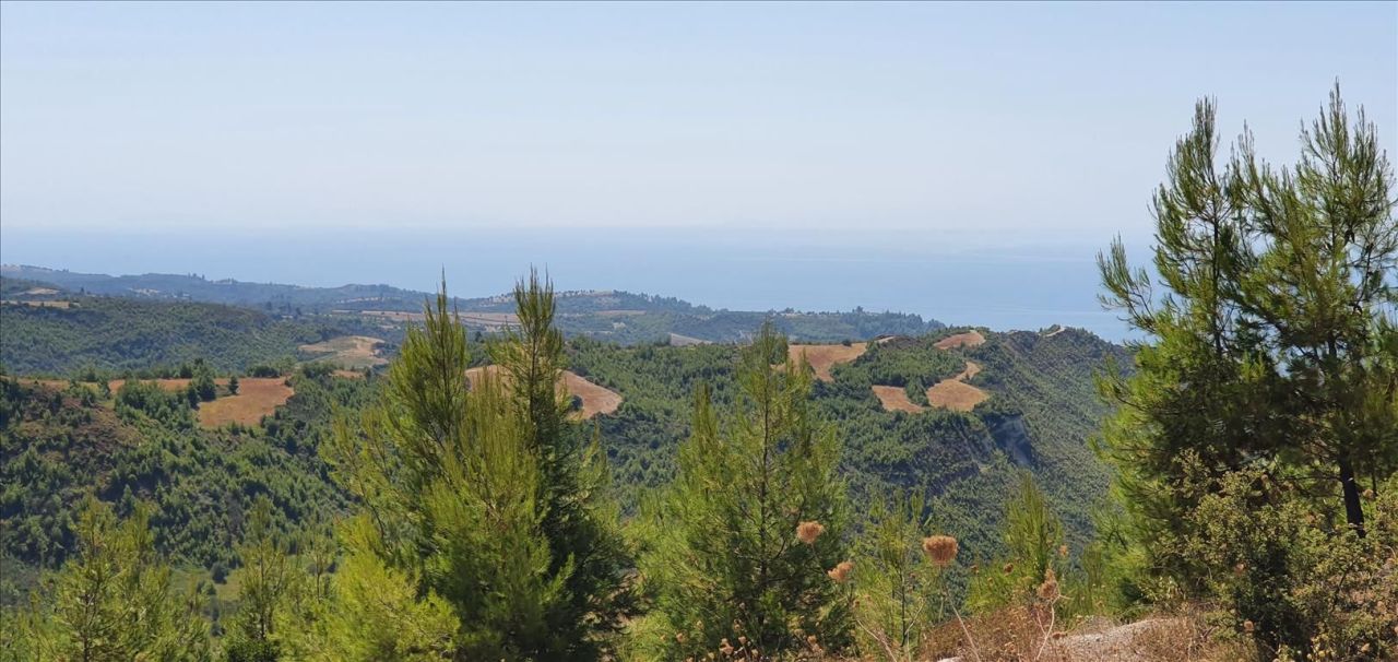 Земля на Кассандре, Греция, 15 000 м² - фото 3