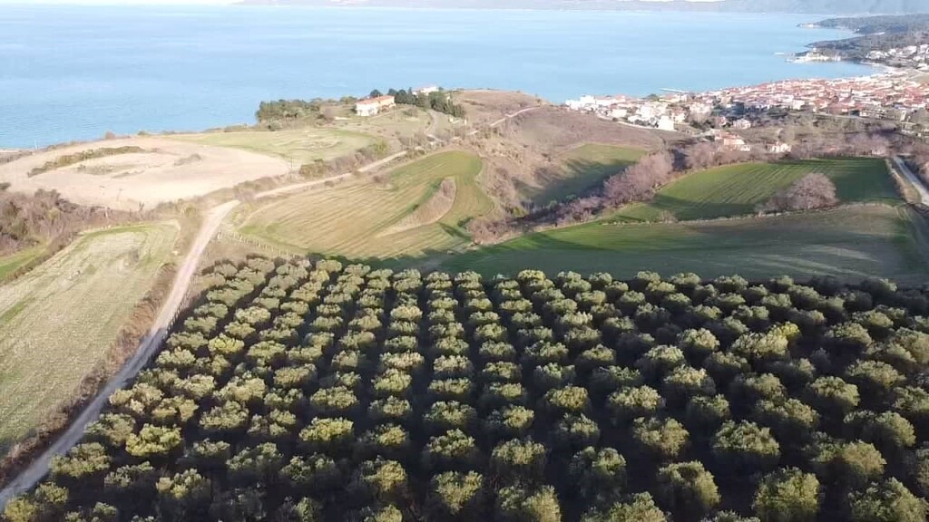 Земля в Ситонии, Греция, 5 625 м² - фото 3