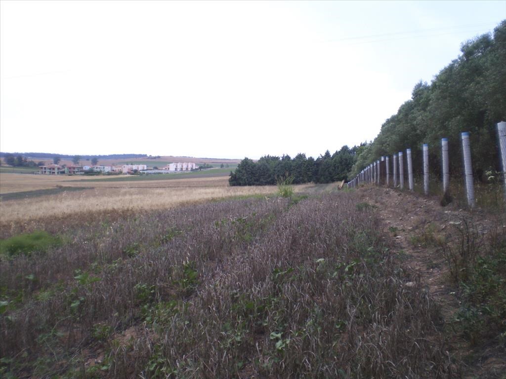 Земля на Кассандре, Греция, 4 285 м² - фото 3