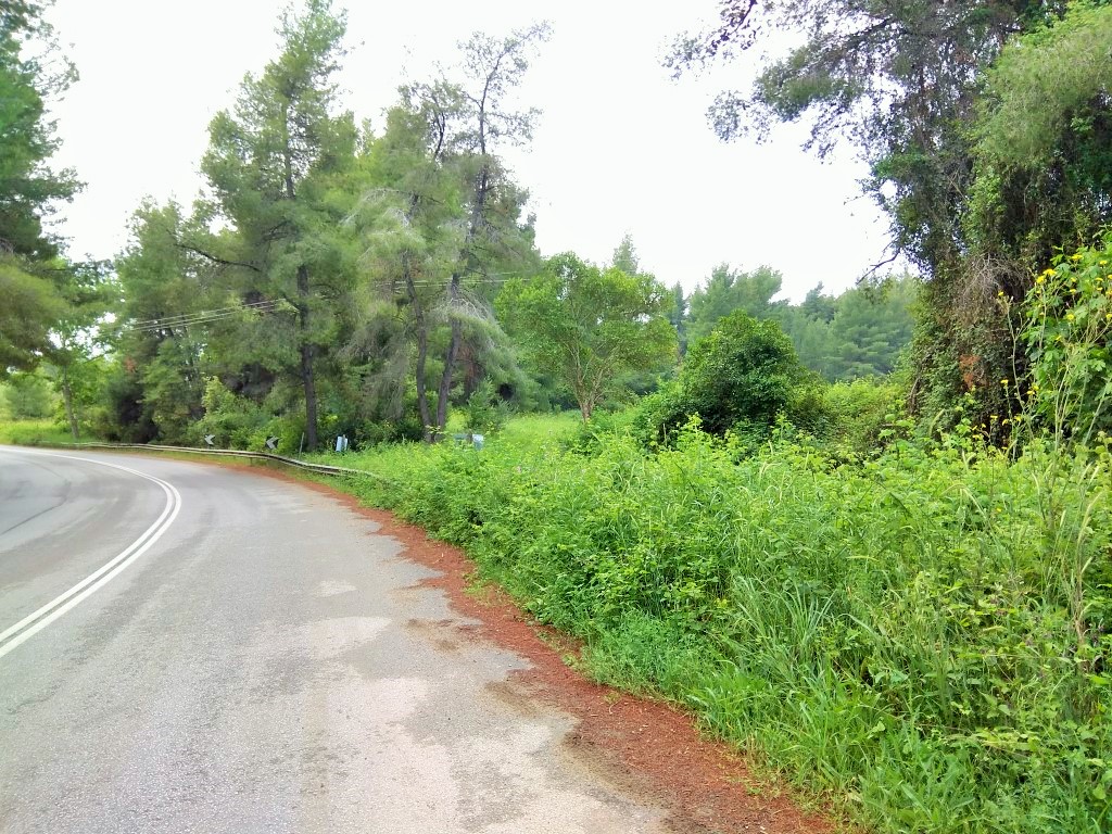 Земля на Кассандре, Греция, 28 000 м² - фото 3