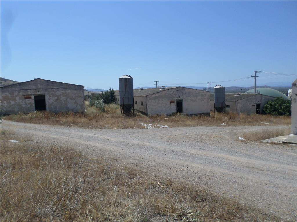 Земля в Афинах, Греция, 22 000 м² - фото 3