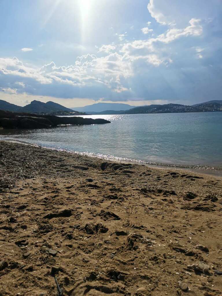 Земля в Аттике, Греция, 900 м² - фото 3