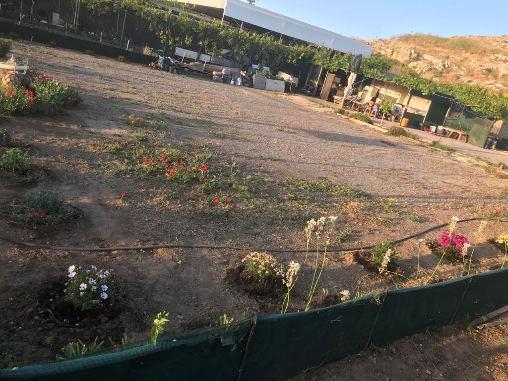 Земля в Ираклионе, Греция, 670 м² - фото 3