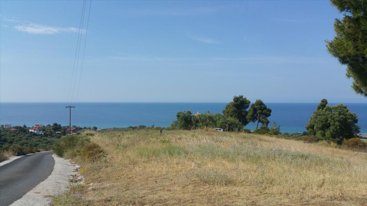 Земля на Кассандре, Греция, 4 062 м² - фото 3