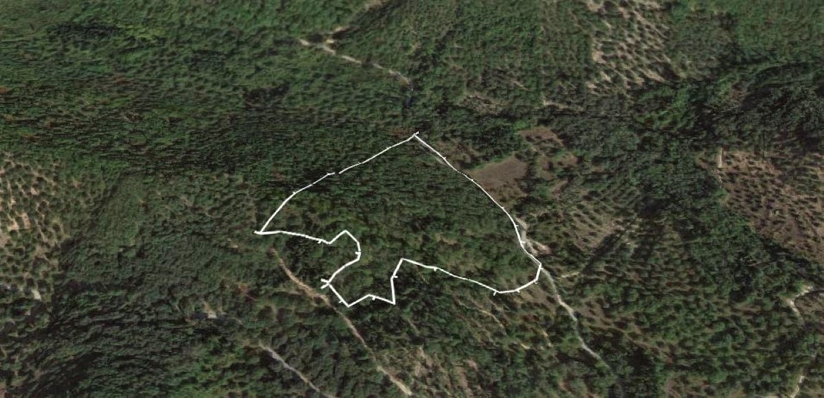 Земля на Корфу, Греция, 25 969 м² - фото 3