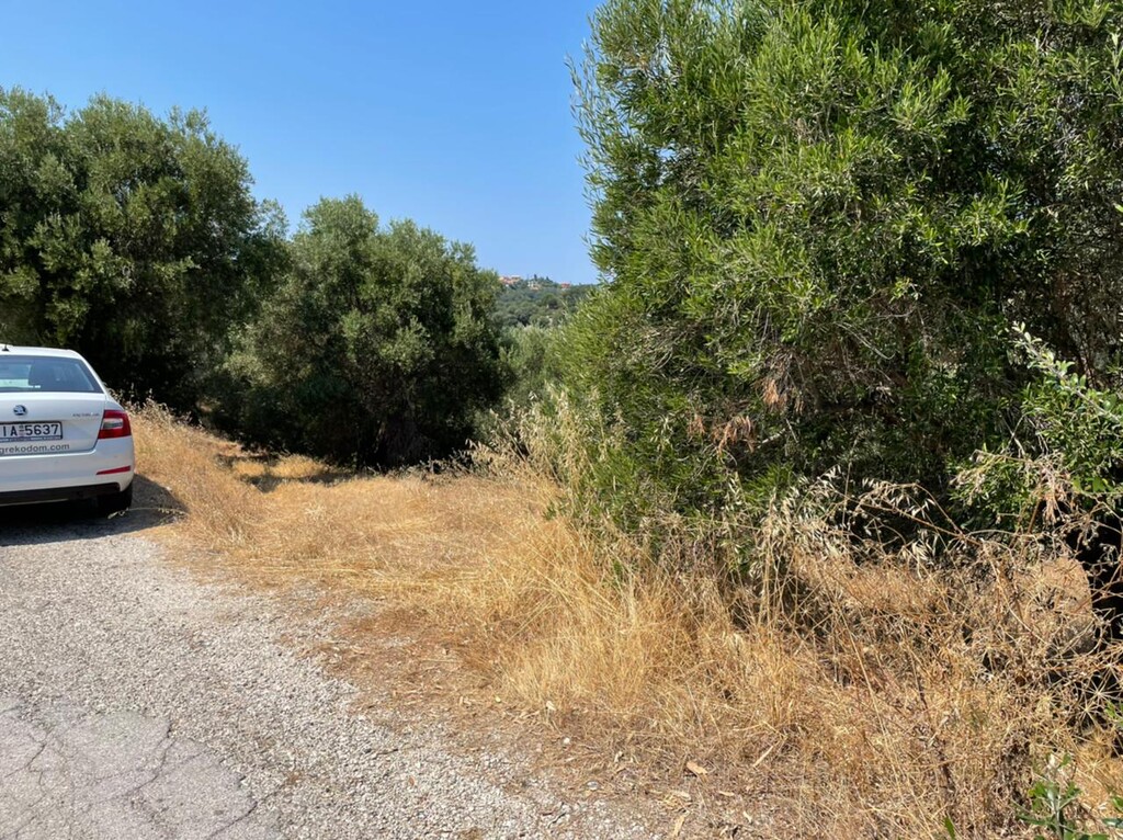 Земля на Корфу, Греция, 5 200 м² - фото 3