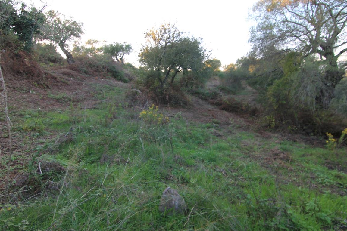 Земля на Корфу, Греция, 5 740 м² - фото 3