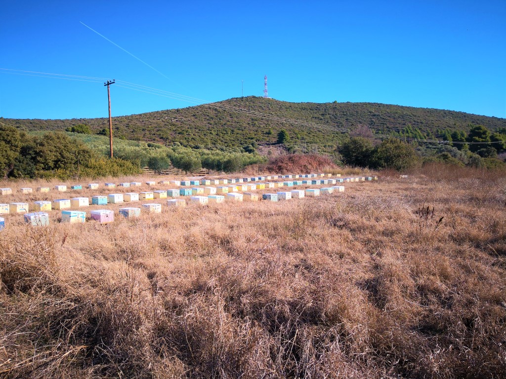 Земля в Ситонии, Греция, 12 000 м² - фото 3